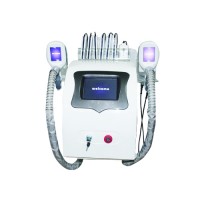 the desktop  frozen skin fat removal  body shaper slimming with laser beauty machine